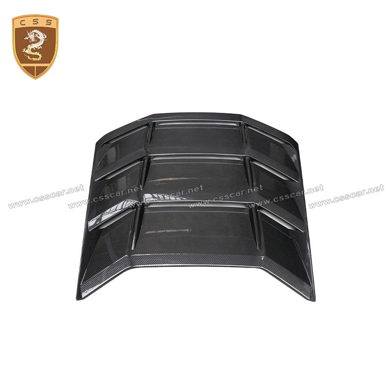 Lamborghini huracan LP610 carbon fiber trunk cover