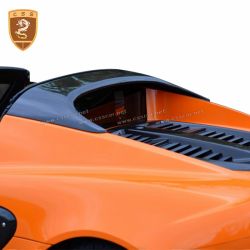 Lotus Cars Elise S2(04-10) Carbon Fiber Roll Bar Cover