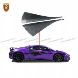 McLaren 540c570s novitec Car Side Door