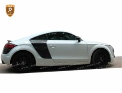 AUDI TT carbon rear door panel