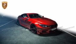BWM 6 series PD hood